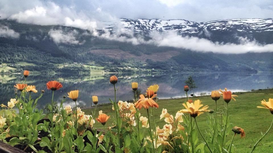 Voss Vandrarheim Hostel Bagian luar foto